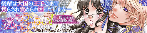 もう、逃げられない! 腹黒王子の溺愛捕獲作戦 (ティアラ文庫)
